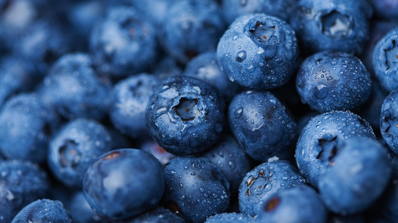 closeup texture shot of fresh blueberries