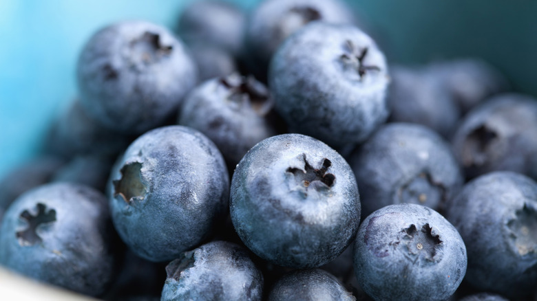 closeup of fresh blueberries with a light blue background