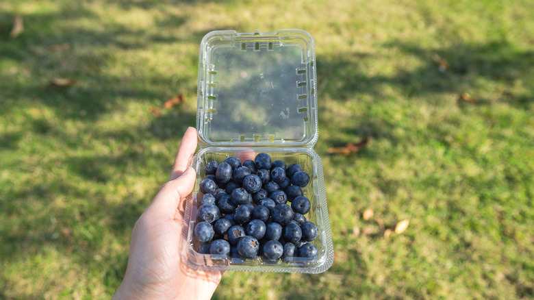 hand holding an open clamshell container of blueberries