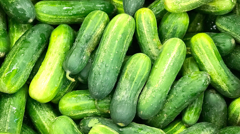 Kirby cucumbers stacked