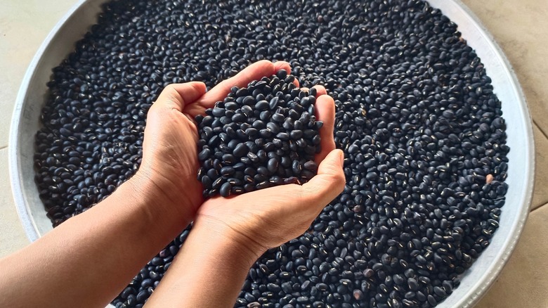 person holding black beans