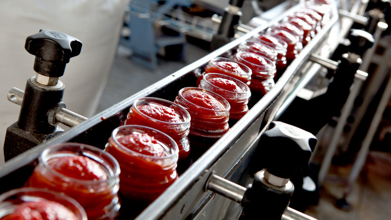 Jars of tomatoes in production line