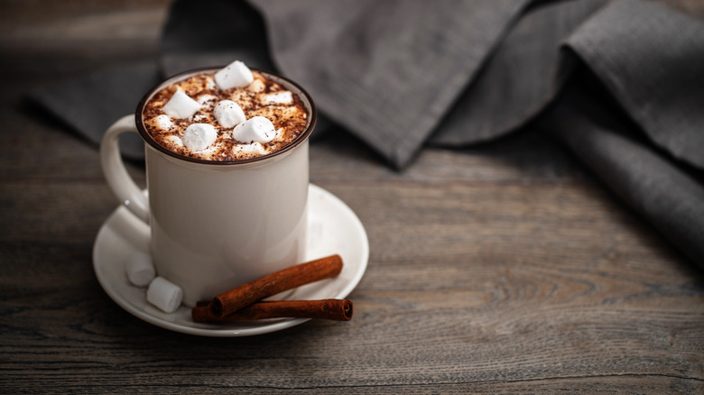 hot chocolate with decorative marshmallow and cinnamon