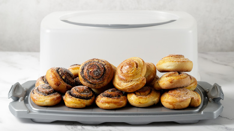 Freshly baked cinnamon rolls in a storage container on a light background