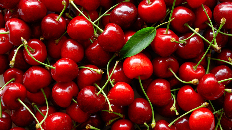 Close up of fresh cherries