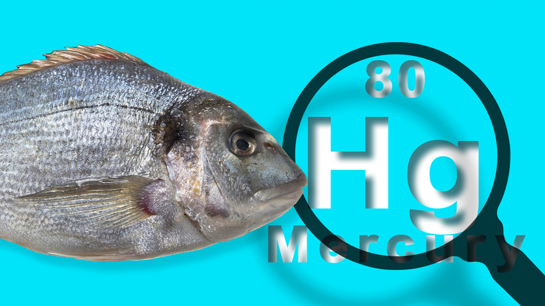 Fish next to chemical symbol for mercury