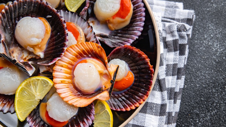 scallops with roe on the half shell