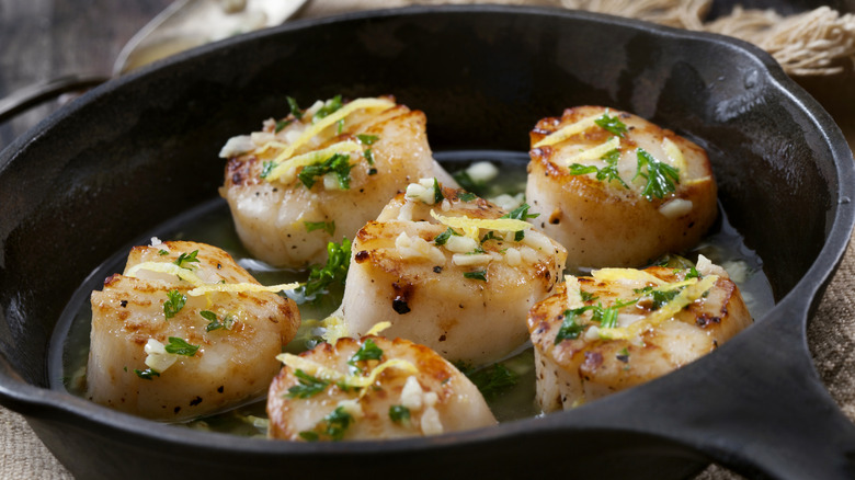 seared scallops in a cast iron pan