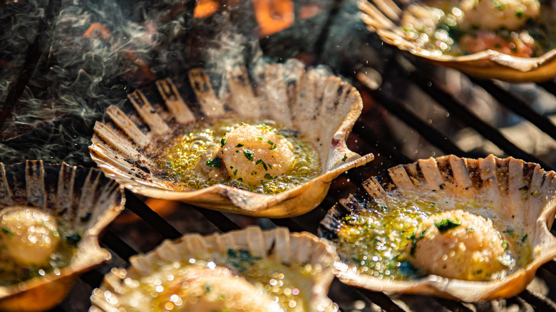 scallops on the grill in their shells