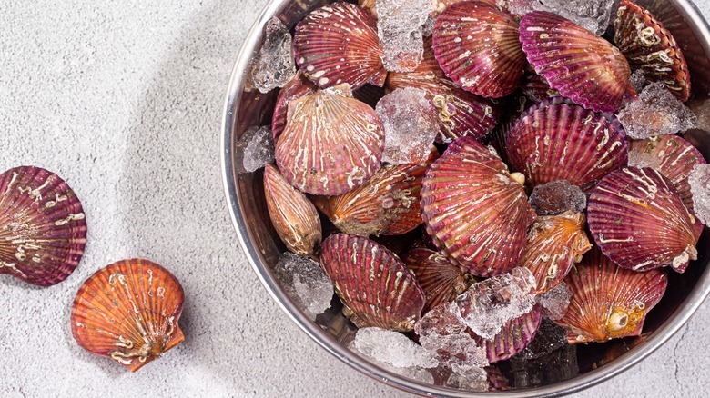 whole scallops on ice in a bowl on a beach