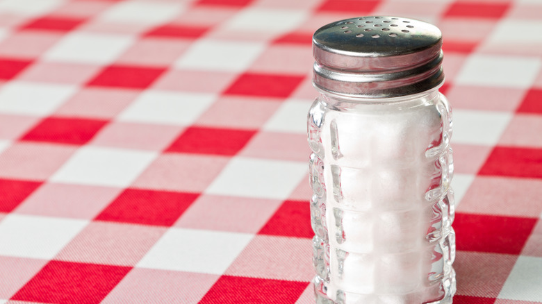 salt shaker on picnic tablecloth