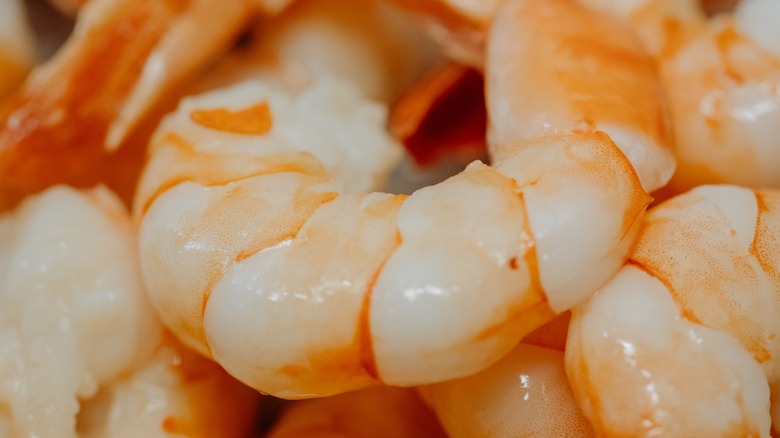 close up of cooked shrimp