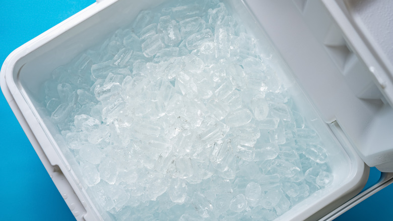 Cooler filled with ice