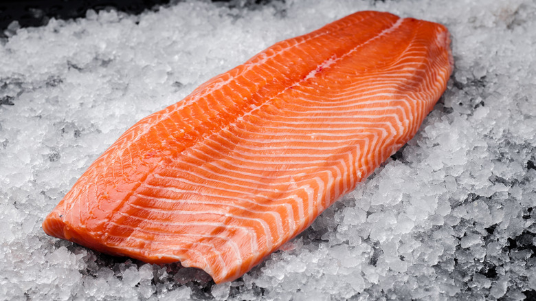 fresh filet of salmon on ice