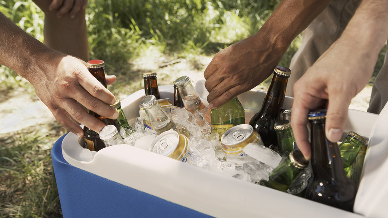 three hands grabbing beer bottles out of an ice chest