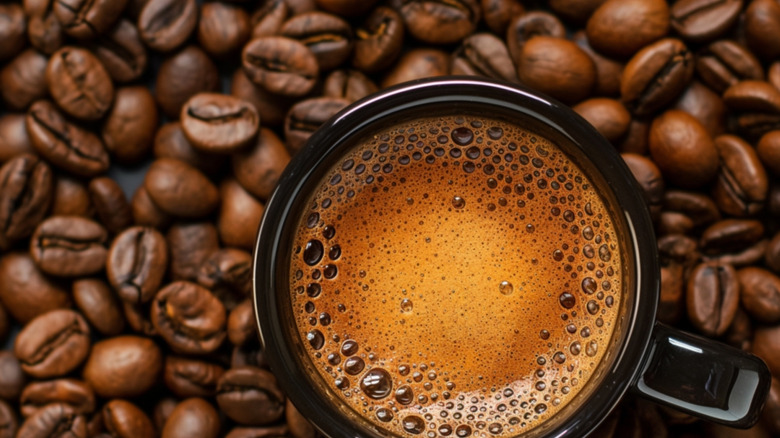 A cup of fresh coffee is surrounded by roasted coffee beans