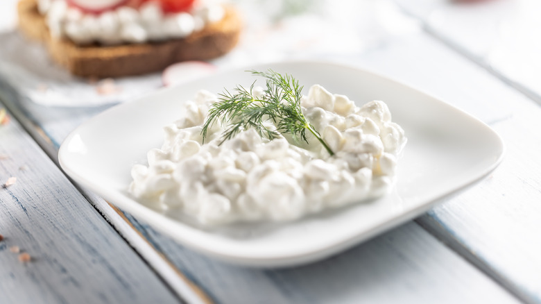 cottage cheese on a plate