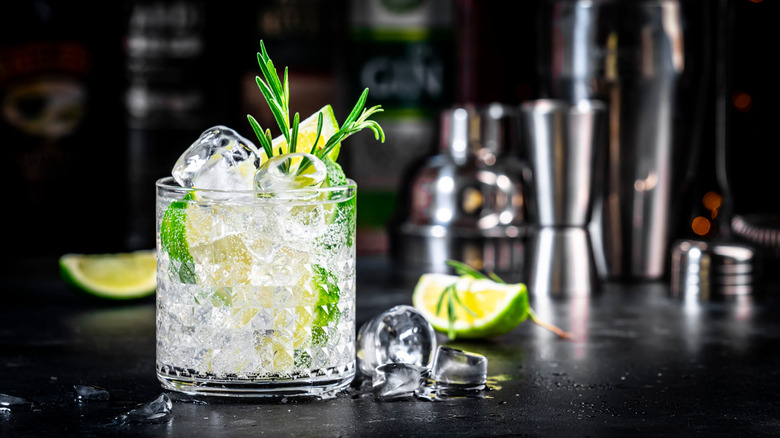 Fizzy, clear cocktail in short tumbler with lime slices and rosemary sprig for garnish