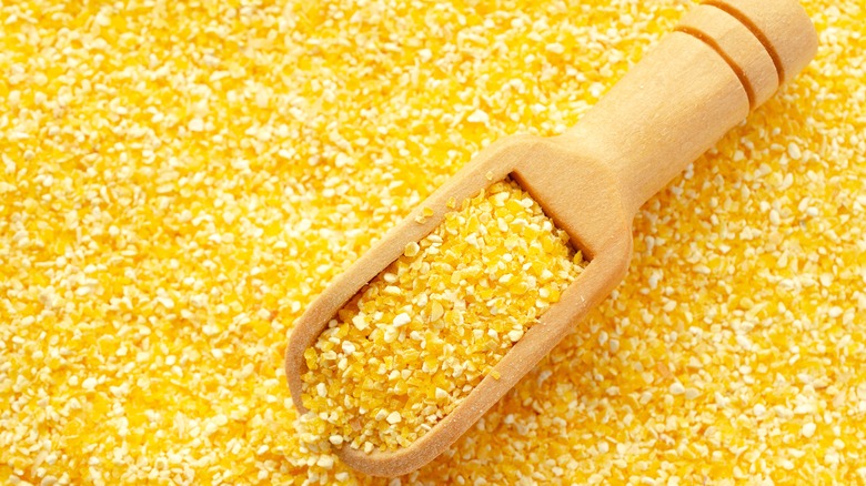 yellow corn meal with scoop