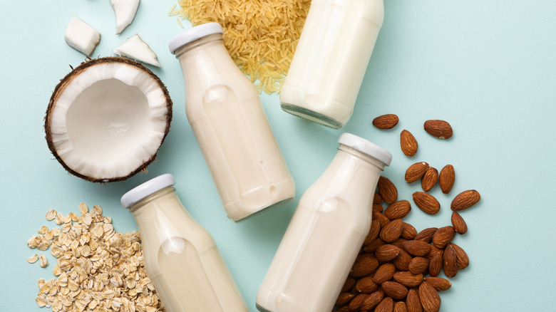 Different kinds of plant-based milks in bottles surrounded by ingredients