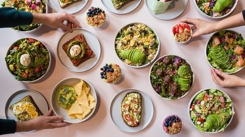 Selection of avocado dishes from Avocaderia