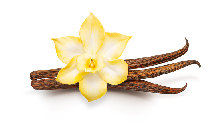 springs of vanilla and flower