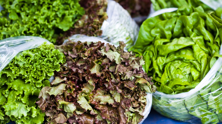 A shopper in a red button down shitt and tie grabs bags of packaged greens from a grocery store