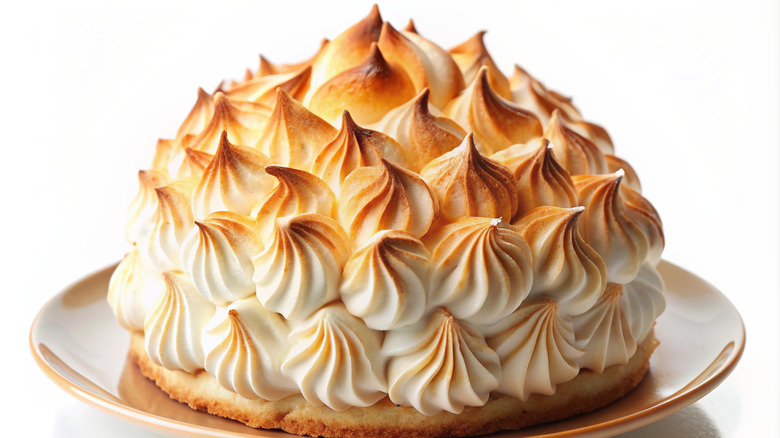 A brown plated topped with Baked Alaska and toasted meringue