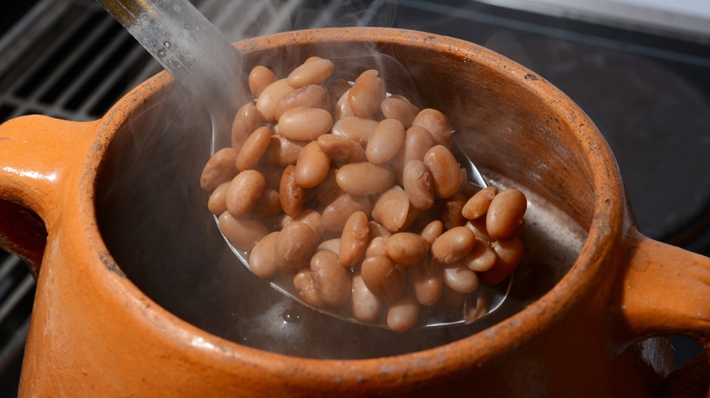 a spoonful of beans held above brown pot