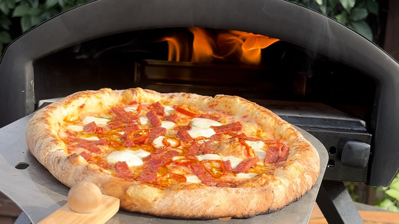 Woodfire pizza Bertello outdoor oven 