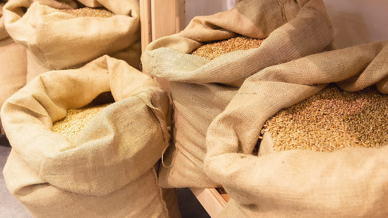 burlap sacks of wheat grain