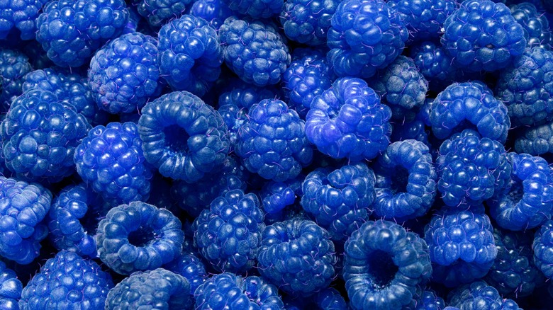 pile of 'blue' raspberries