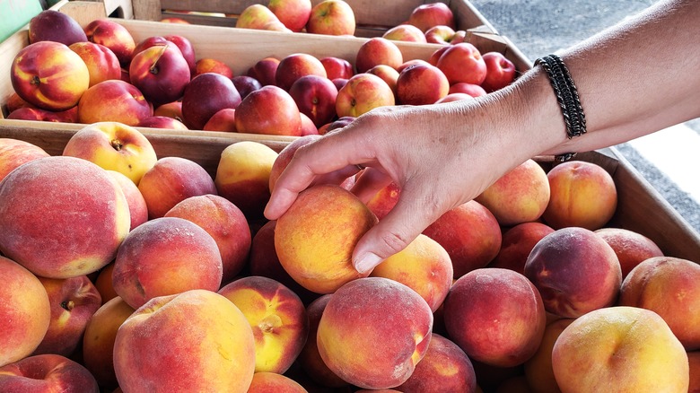 hand grabbing peach at market