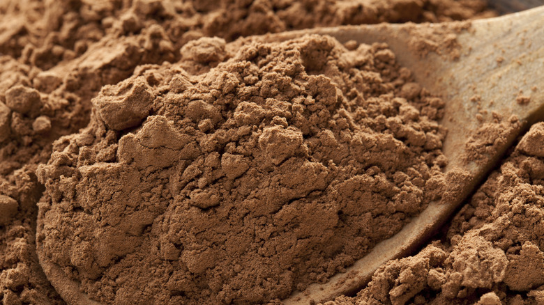 closeup of cocoa powder in a wooden spoon
