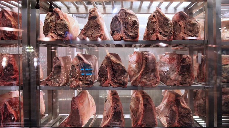 Rows of dry aging beef in climate-controlled fridge