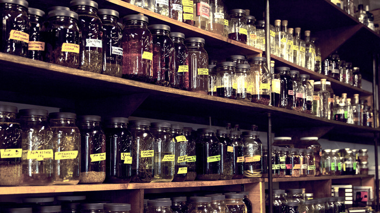 Shelves of jars of macerations