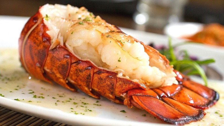 Cooked lobster tail with melted butter and herbs on a white plate