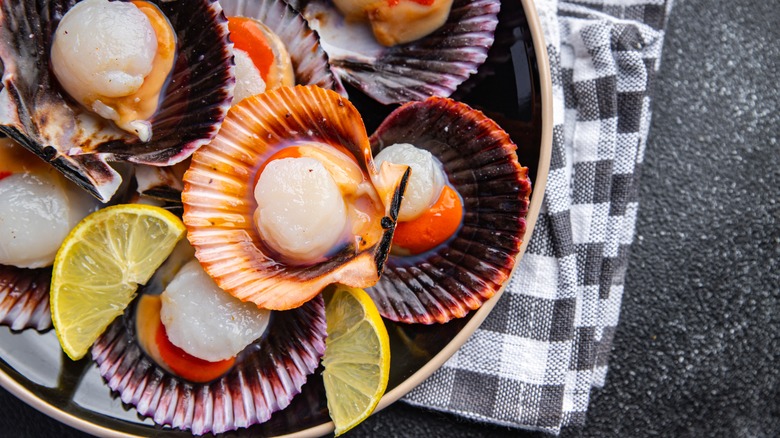 Scallops in shell with roe