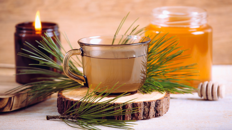 Pine tea with pine needles