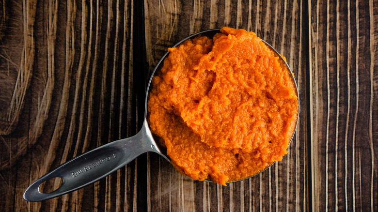 pumpkin puree in measuring cup