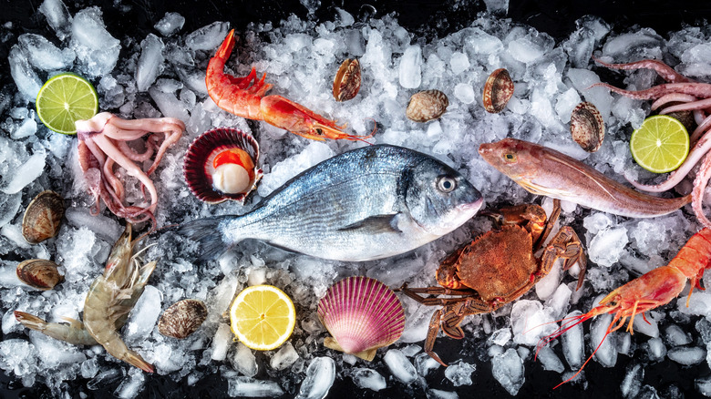 A variety of frozen fish and seafood on a bed of ice