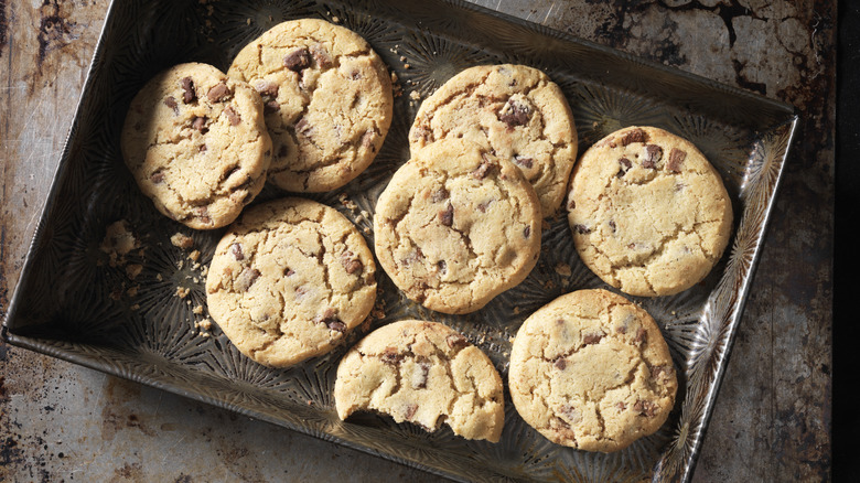 Eight chocolate chip cookies on a cookie sheet, straight from the oven, one of the cookies has been half eaten.