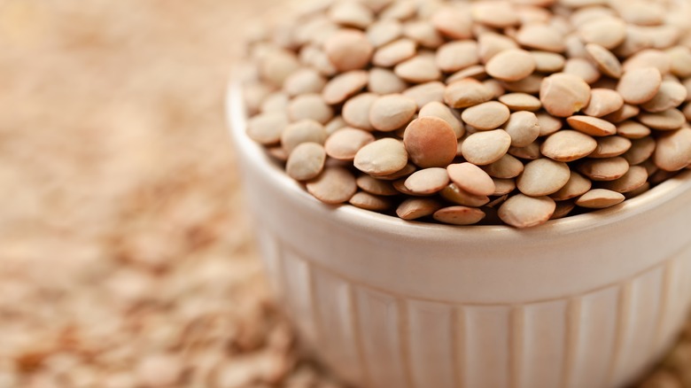 a bowl of dry brown lentils