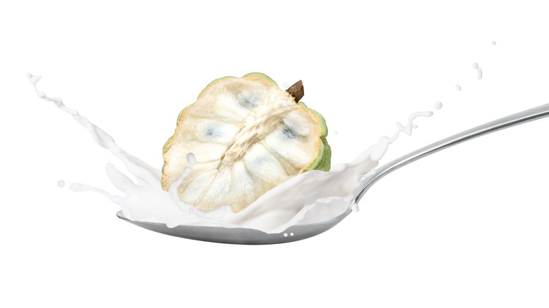 cherimoya on a spoon with milk splash