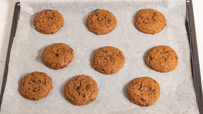 Baked pumpkin chocolate chip cookies on a baking tray