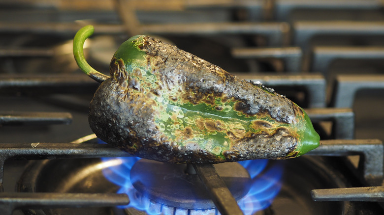 Blistered poblano pepper over gas flame