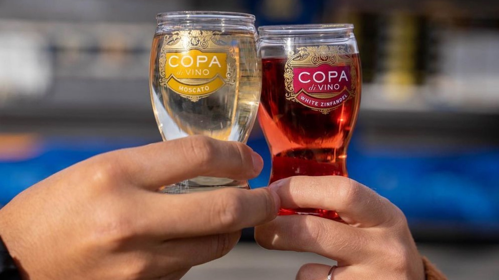 What Happened To Copa Di Vino After Shark Tank?