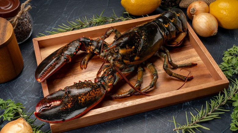 Lobster on wooden plate