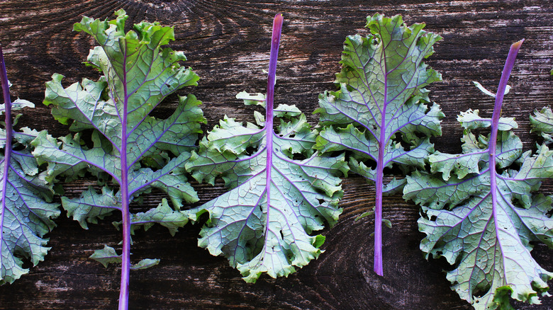 Russian red kale leaves on a dark wooden board