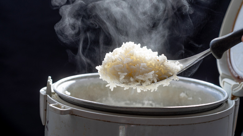 Spoonful of steamy white rice